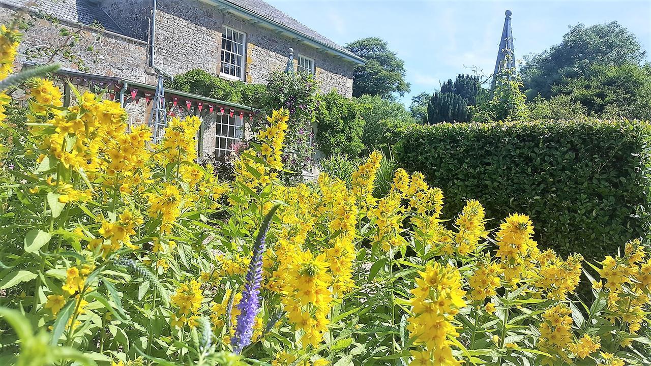 Glebe House Cottages Bude Exterior foto
